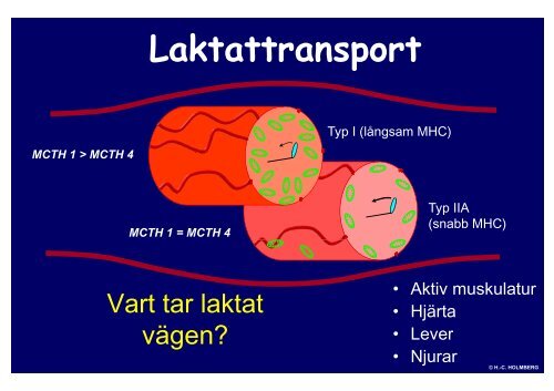 (Allmaent) Lyft blicken och se hela vaegen. H.C. ... - OK Denseln