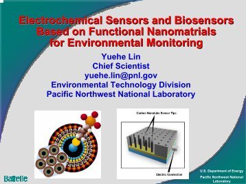 Electrochemical Sensors and Biosensors Based on Functional ...