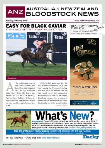 NEW ZEALAND BLOODSTOCK NEWS ANZ - ANZ Bloodstock News