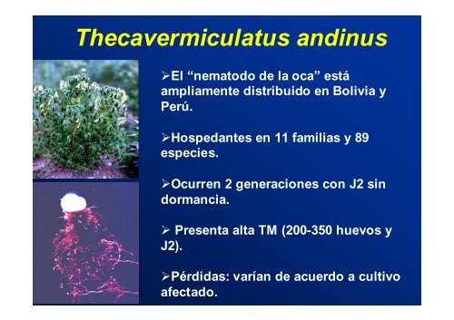 Manejo Integrado de los Nematodos de la Papa