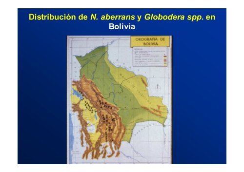 Manejo Integrado de los Nematodos de la Papa