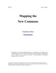 Mapping the New Commons - Digital Library Of The Commons ...