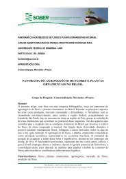 panorama do agronegÃ³cio de flores e plantas ornamentais no brasil