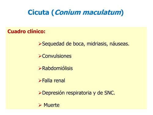 Plantas Venenosas. Abordaje y Tratamiento. Dra. Miryam Gutierrez.