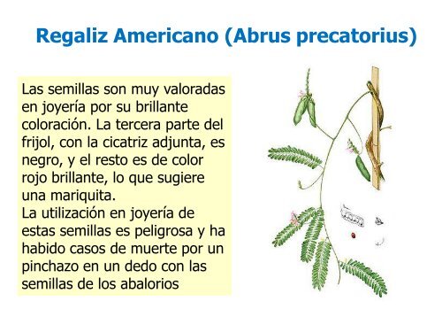 Plantas Venenosas. Abordaje y Tratamiento. Dra. Miryam Gutierrez.