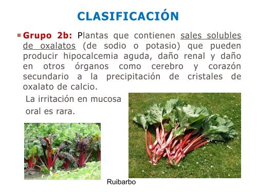 Plantas Venenosas. Abordaje y Tratamiento. Dra. Miryam Gutierrez.