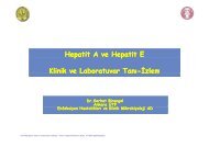 Hepatit A ve E virus enfeksiyonunda klinik ve tanÄ± - VHSD