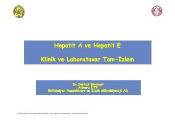 Hepatit A ve E virus enfeksiyonunda klinik ve tanÄ± - VHSD