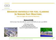 advanced materials for fuel cladding in sodium fast reactors in ...