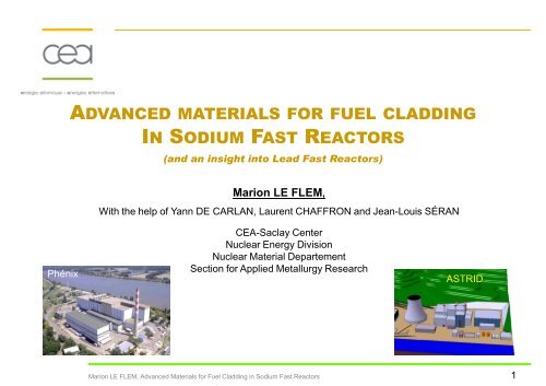 advanced materials for fuel cladding in sodium fast reactors in ...