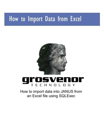 How to Import Data into JANUS from an Excel file ... - Grostech.com