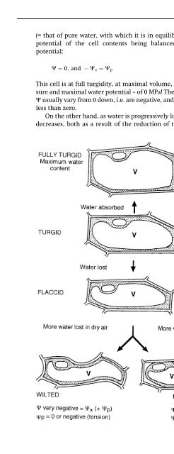 The Physiology of Flowering Plants - KHAM PHA MOI