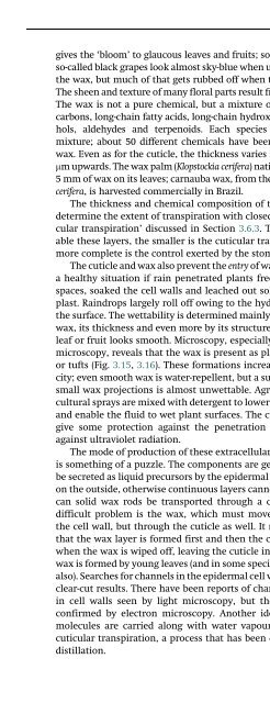 The Physiology of Flowering Plants - KHAM PHA MOI