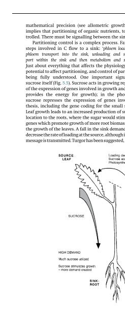 The Physiology of Flowering Plants - KHAM PHA MOI