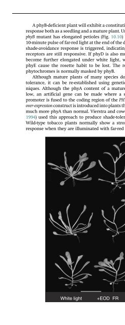 The Physiology of Flowering Plants - KHAM PHA MOI