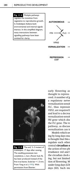 The Physiology of Flowering Plants - KHAM PHA MOI