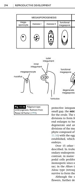 The Physiology of Flowering Plants - KHAM PHA MOI