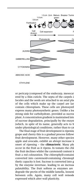 The Physiology of Flowering Plants - KHAM PHA MOI