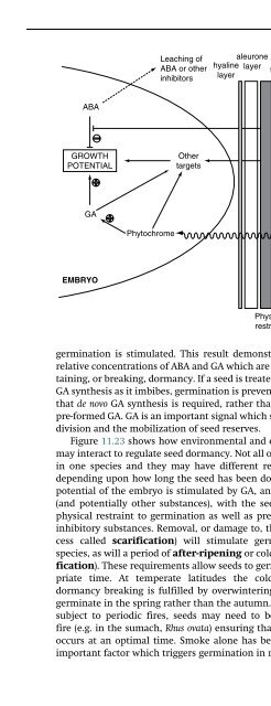 The Physiology of Flowering Plants - KHAM PHA MOI