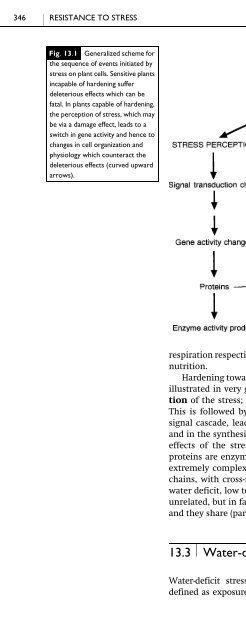 The Physiology of Flowering Plants - KHAM PHA MOI