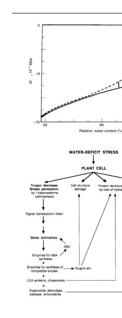 The Physiology of Flowering Plants - KHAM PHA MOI