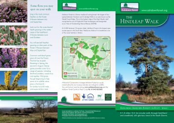 Download - Ashdown Forest