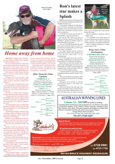 November'07 - Greyhounds Queensland