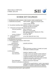 SCHEDE DATI SICUREZZA - Seiko I Infotech Inc.