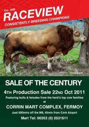 Raceview Production Sale Catalogue - Irish Simmental Cattle Society