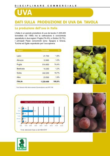 DATI SULLA PRODUZIONE DI UVA DA TAVOLA - Salvi