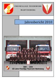 Jahresbericht 2010