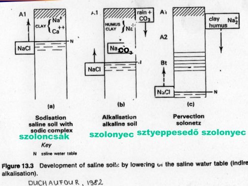 2. TÃ³th Tibor_ A szikes talajok kÃ©pzÅdÃ©se