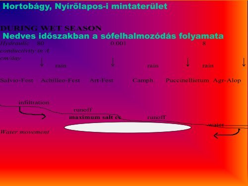 2. TÃ³th Tibor_ A szikes talajok kÃ©pzÅdÃ©se