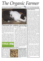 Demand for rabbits growing - Infonet-Biovision