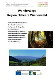 „Region 5 + WIR“ - Elsbeere Wienerwald