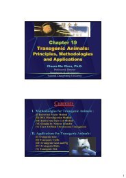 transgene