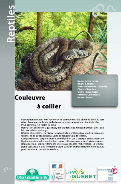 Reptiles et amphibiens - paysdegueret.info
