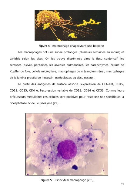 SYNDROME D'ACTIVATION MACROPHAGIQUE CHEZ L ... - Toubkal