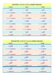 ÙÙÙgariban tavuk