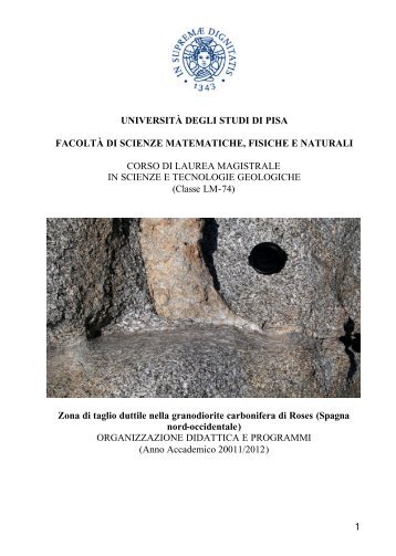 1 universitÃ  degli studi di pisa facoltÃ  di scienze matematiche ...