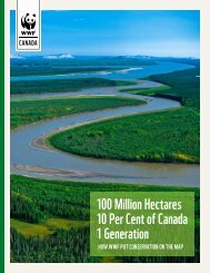 100 Million Hectares 10 Per Cent of Canada 1 Generation - Forest ...