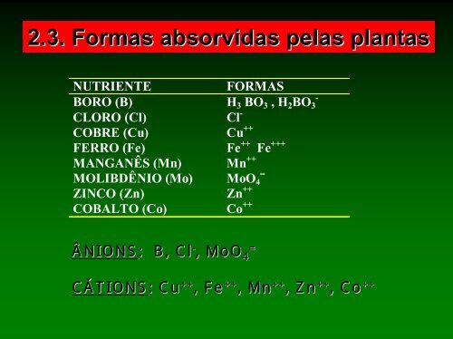 Via foliar - Adubos e AdubaÃ§Ãµes