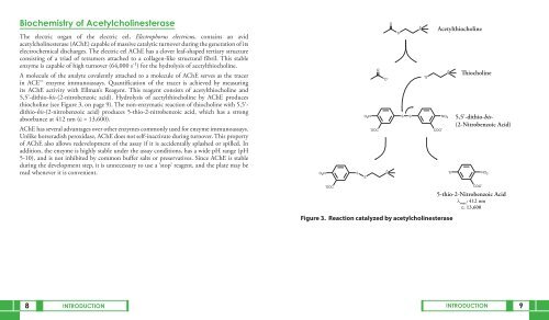 Prostaglandin E2 Metabolite ELISA - IBL International