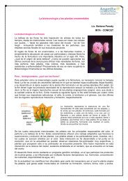 La biotecnologÃ­a y las plantas ornamentales Lic. Betiana ... - ArgenBio