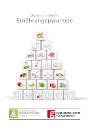 ErnÃ¤hrungspyramide Folder