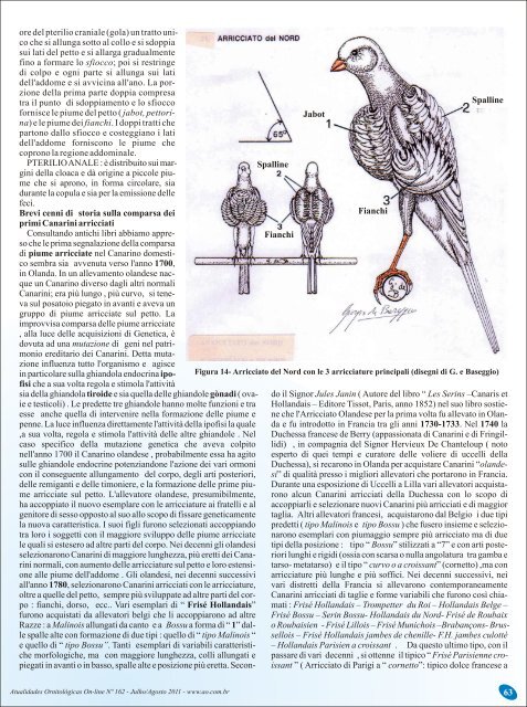Osservazioni tecniche e scientifiche sul piumaggio degli uccelli.