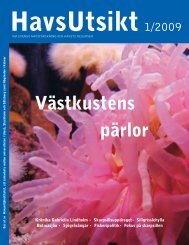 HavsUtsikt nr 1,2009 - Havet.nu