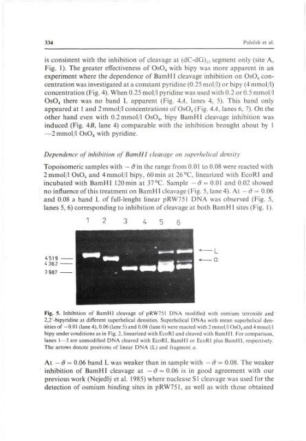 Inhibition of Restriction Endonuclease Cleavage due to ... - Gpb.sav.sk