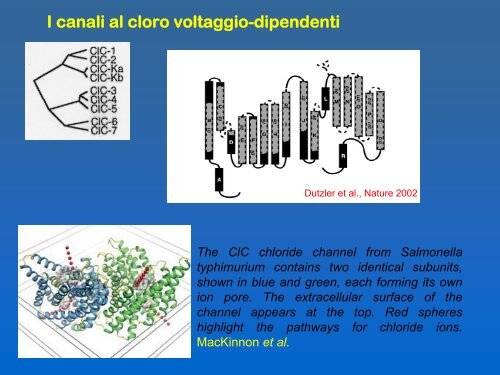 Current-Clamp - Università degli Studi di Bari