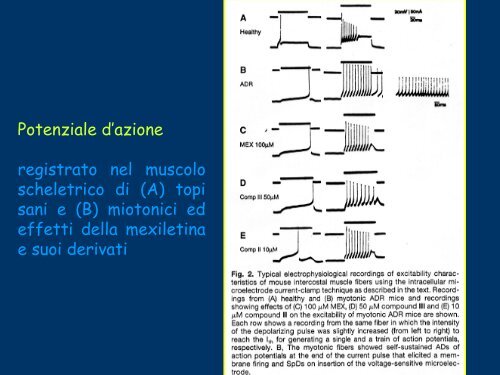 Current-Clamp - Università degli Studi di Bari